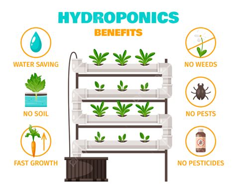 Saving Water Clipart Hd PNG, Hydroponics Benefits Concept With Water Saving And Fast Growth ...