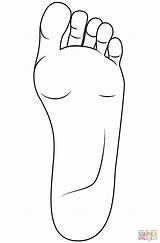 Feet coloring Page  Free Printable Coloring Pages sketch template
