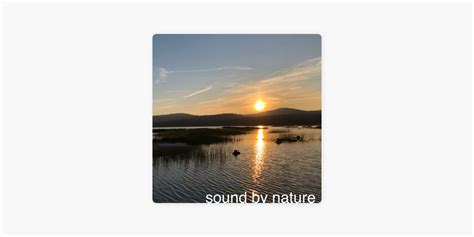 ‎Sound By Nature on Apple Podcasts