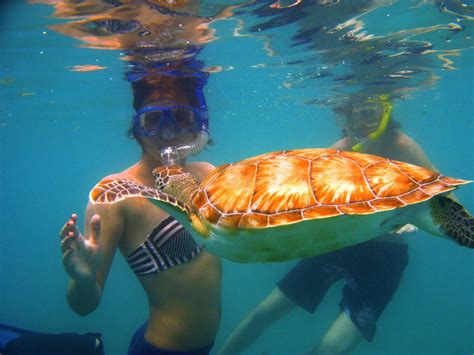 Snorkeling with a Turtle | Culebra Snorkeling Center | Flickr