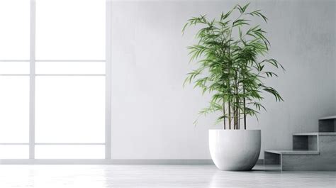 Premium AI Image | Bamboo plant in small pot on white wall