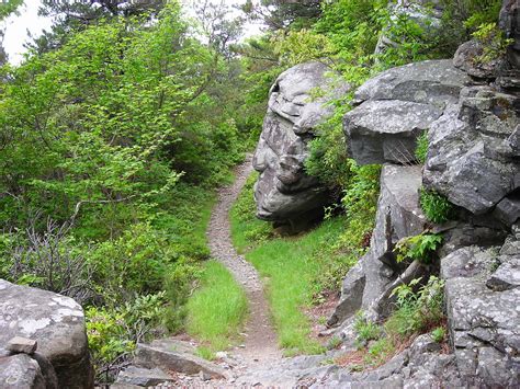 Rainbow Falls - Hike and Swim near Lake Toxaway, North Carolina - Free Arenas