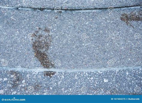 Footprints are Wet on Cement Floor. Stock Image - Image of sign ...