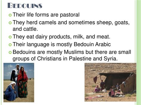 PPT - Bedouin PowerPoint Presentation, free download - ID:2244095