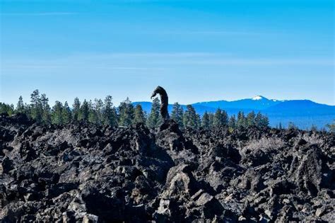 Lava Lands Visitor Center (Bend) - 2020 All You Need to Know BEFORE You Go (with Photos ...