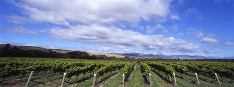 New York State's 10 Best Wineries and Vineyards | Crush Wine Experiences | Crush Wine Experiences