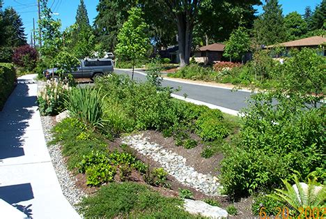 Green Stormwater Infrastructure - A Key Tool to Cleaning Our Waterways ...