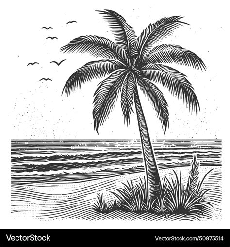 Tropical palm tree beach engraving Royalty Free Vector Image