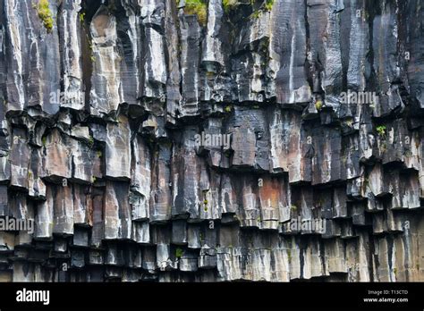 Basalt columns surrounding Svartifoss Waterfall, Skaftafell, Vatnajokull National Park, Iceland ...