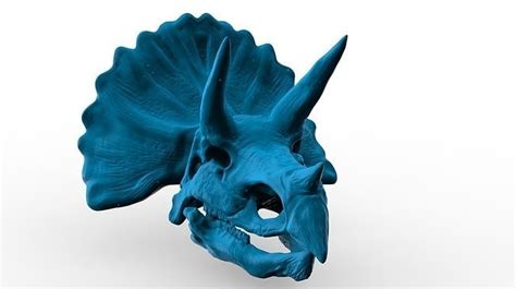 Triceratops Skull - 3D model 3D model 3D printable | CGTrader