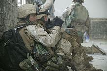 Second Battle of Fallujah - Wikipedia