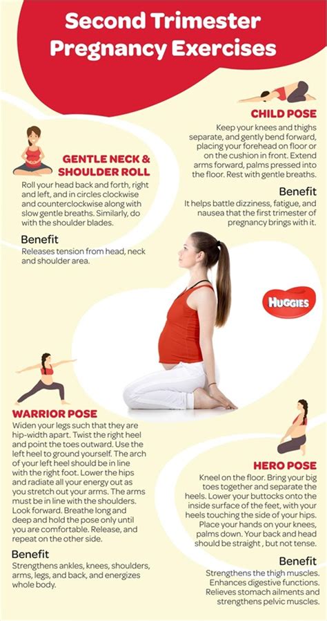 Easy and Safe Second Trimester Pregnancy Exercises - Huggies India