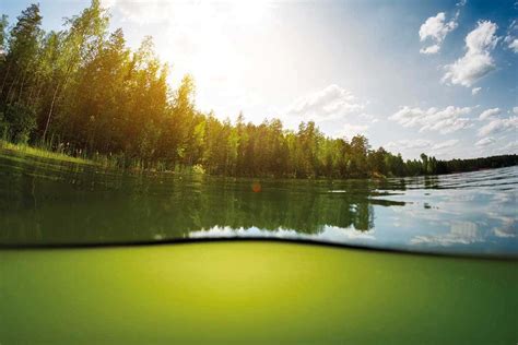 Acid bath: The new threat to lakes and rivers | New Scientist