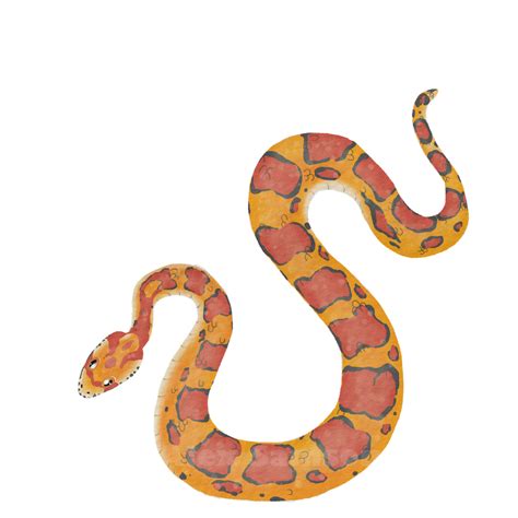 Little Corn Snake by Drindex on DeviantArt