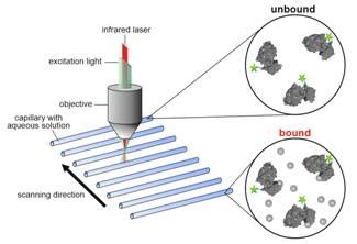 Biomolecular Interactions Analytics using MicroScale Thermophoresis