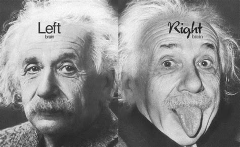 Why Einstein's Brain Was Special