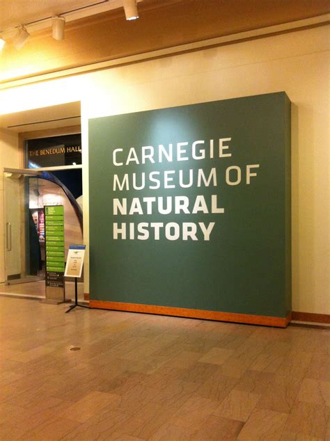 Carnegie Museum of Natural History has one of the world's best dinosaur bone collections ...