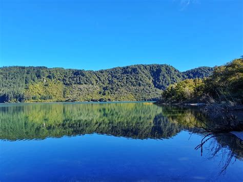 THE BLUE LAKE WALK IN ROTORUA | CHUR NEW ZEALAND