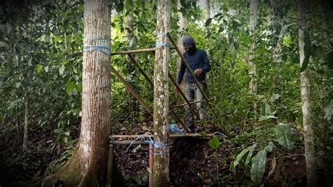 Membangun pondok bambu sederhana di antara dua pohon - YouTube