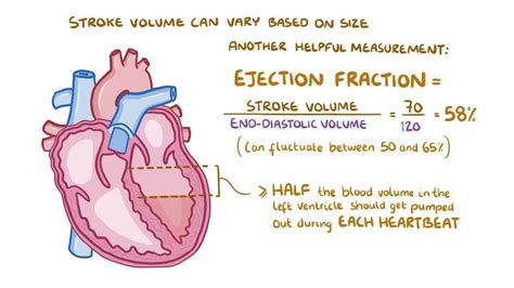 Does Ejection Fraction Decrease With Acute Heart Failure Scary Symptoms