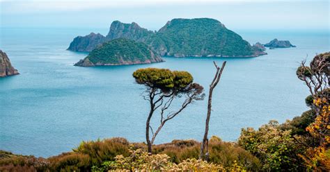 Hiking the Rakiura Track, Stewart Island's Great Walk - New Zealand Trails