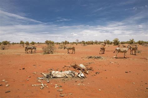 Fighting the impact of climate change one radio show at a time | Mercy Corps