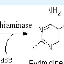 Structure of Thiamine Hydrochloride (ACD/ChemSketch). | Download ...