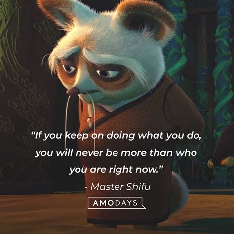 48 Master Shifu Quotes to Teach You Kung Fu Discipline