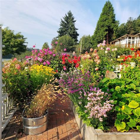 Planning Your Cut Flower Garden - Shiplap and Shells