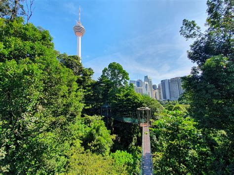 KL Forest Eco Park (Canopy Walk Trail) - 1step1footprint