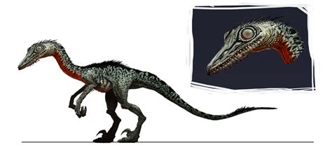 Troodon "pectinodon" (*) (S/F-T/G) – Jurassic-Pedia