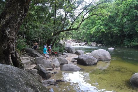 Mossman Gorge | Daintree Rainforest Tours | Dreamtime Walk Tour | Port Douglas