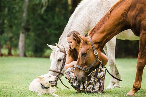 A girl's best friends; her horses and her dog. | Horses, She dog, Horse photography