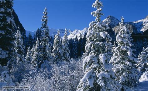 Landforms - Welcome To Our Taiga (Boreal Forest)