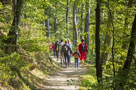 Good, Healthy Fun: The Benefits of Camping