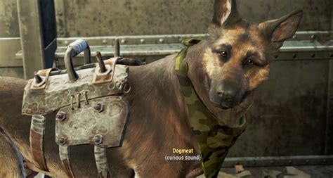 Fallout 4 - 008 - Dogmeat by UnityofBrokenHills on DeviantArt