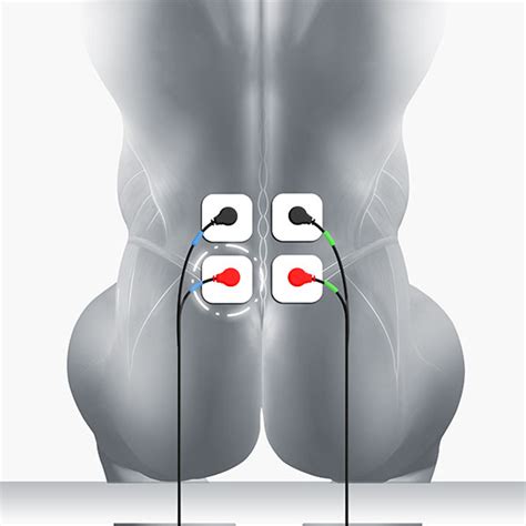 Back Muscles Chart / Muscle Diagram Of The Back Posterior Front Anterior - The muscles of the ...