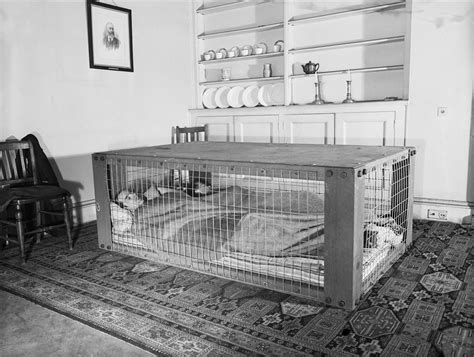 A Couple Sleeping in a Morrison Shelter Used as Protection From ...