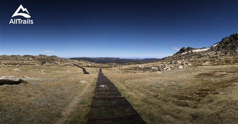 10 Best moderate trails in Kosciuszko National Park | AllTrails