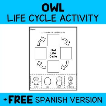 Snowy Owl Life Cycle Activity by Nicole and Eliceo | TpT