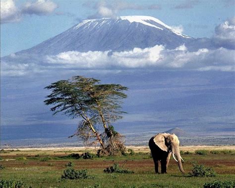 Amboseli National Park, Kenya | Wonders of the world, Kilimanjaro ...