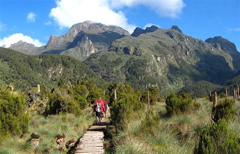 10 Days Rwenzori Mountain Trekking - Uganda Budget Safaris