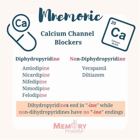 Chi tiết hơn 73 về calcium chanel blocker hay nhất - cdgdbentre.edu.vn