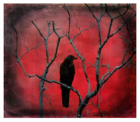 Gothic Raven on a Bannister Art Print Prints Art & Collectibles ...