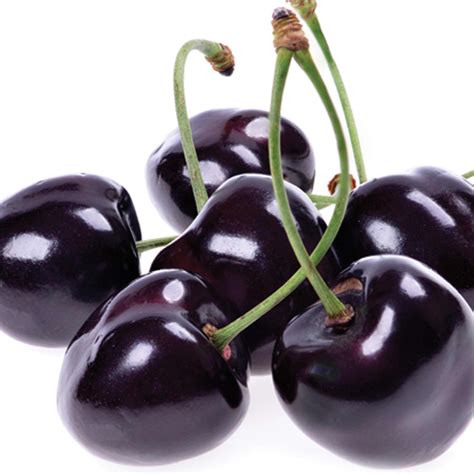 Black Pearl Cherry Tree - Among the largest and sweetest cherries! (2 ...