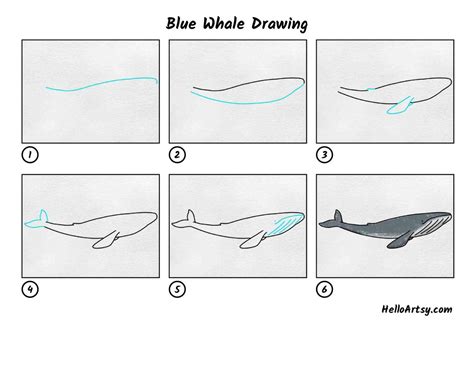 Blue Whale Drawing - HelloArtsy