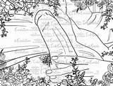 1 Adult Coloring Page Sex Naughty  Etsy sketch template