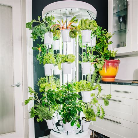 Indoor Vertical Garden - Beautiful DIY Vertical Garden Ideas | House ...