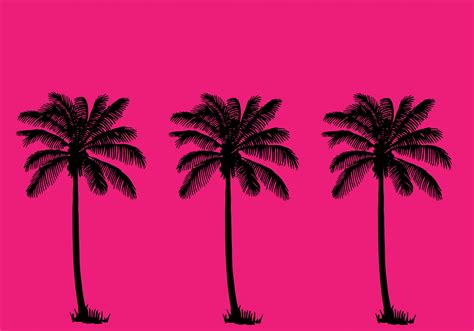 Palm Trees Summer Wallpaper Free Stock Photo - Public Domain Pictures