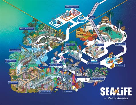 Mall of America Aquarium Map and Brochure (2021 - 2023 ...